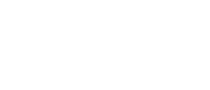 Novomatic™ (Gaminator)  -  Novomatic